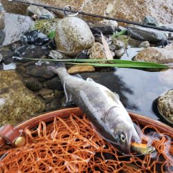 今日も大荒れ( ノД`)…