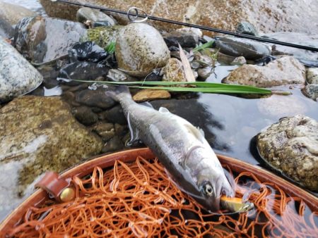 今日も大荒れ( ノД`)…