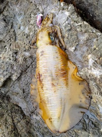 朝練キロアップ(^^)