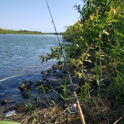 サクラマス最後なんで久々に川へ