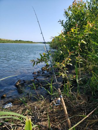サクラマス最後なんで久々に川へ
