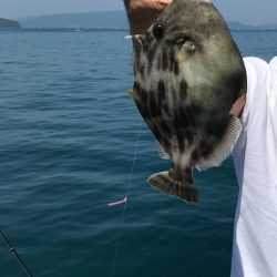 久しぶりのカワハギ