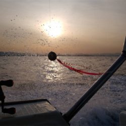 ボウズからの脱出