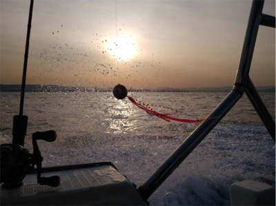 ボウズからの脱出