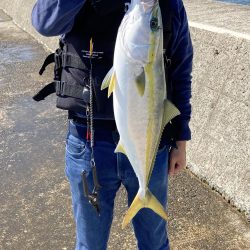 西宮ケーソン、メジロ釣れました