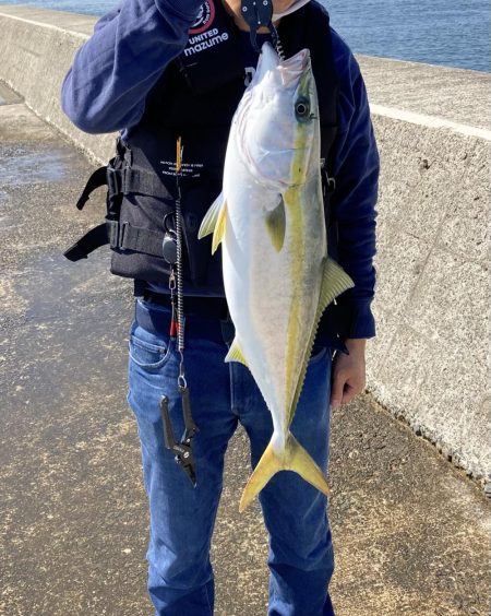 西宮ケーソン、メジロ釣れました