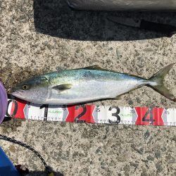 10時半にヒット