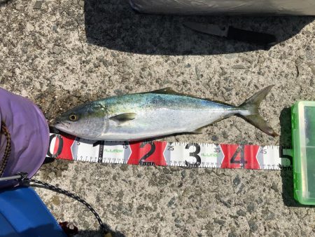 10時半にヒット