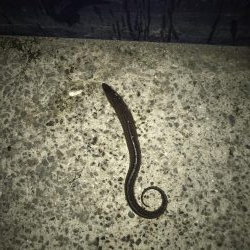 今日も底物だけ…