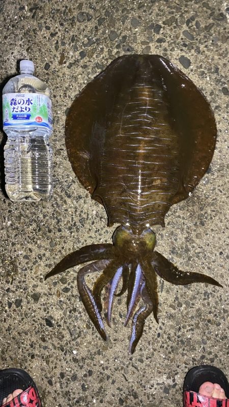 1年ぶりの¥キロアップ