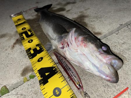 ナギナギノ凪でも出てくれる