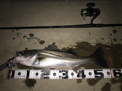 4ヶ月振りの70UP！