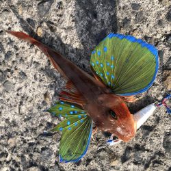 久しぶりの浮津