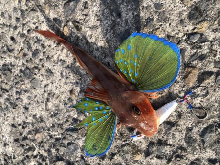 久しぶりの浮津