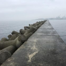 誰もいない波止場で根性決めた