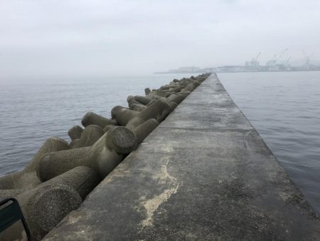 誰もいない波止場で根性決めた