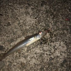 キスを求めて…