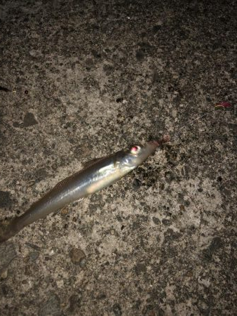 キスを求めて…