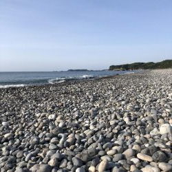 初青物‼︎小物ラッシュ！