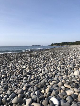 初青物‼︎小物ラッシュ！