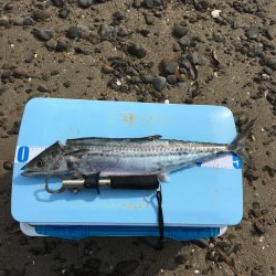 サーフジギング