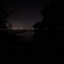 バス釣り外道登場‼︎