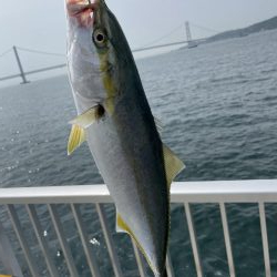 釣りたいのはこいつじゃない!