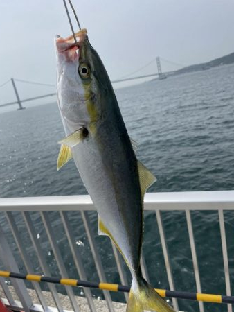 釣りたいのはこいつじゃない!