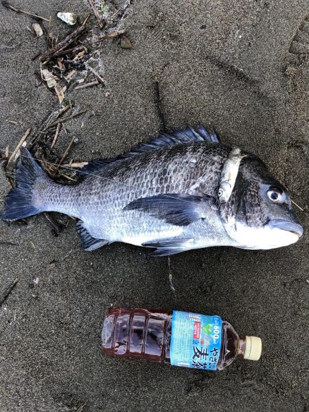 果報は寝て待て