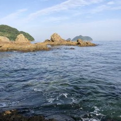 4年振りエギング不発！