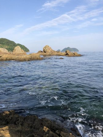 4年振りエギング不発！