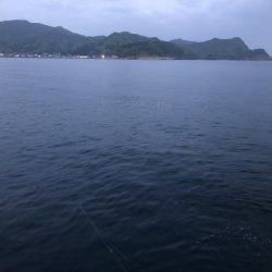 久しぶりの釣果