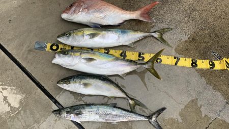 はじめてのカヤックフィッシング