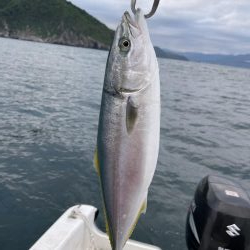 真昼間のイカメタル＆ジギング 釣行