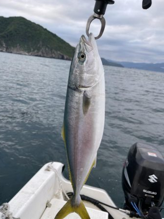 真昼間のイカメタル＆ジギング 釣行