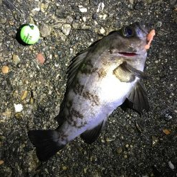 フロートメバリング