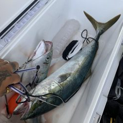 初投稿!パターンはマイクロベイト!!ちょっとのカスタム!