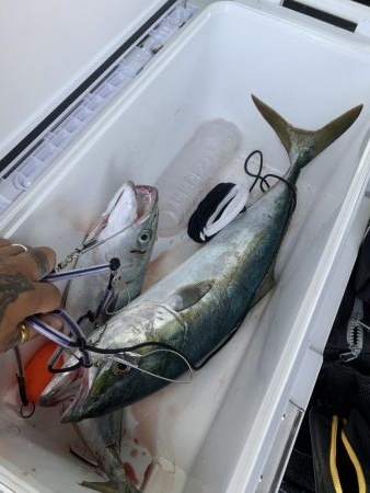 初投稿!パターンはマイクロベイト!!ちょっとのカスタム!