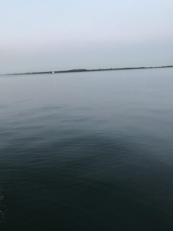 ダイソージクと初タコ