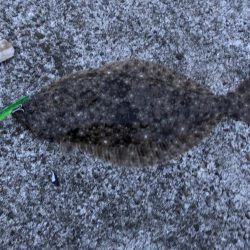 神様、仏様、ビッグバッカー様