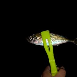 当たりは結構あったんだけど～！