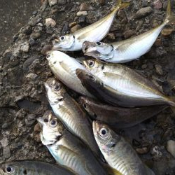 スーパームーン