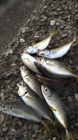 スーパームーン