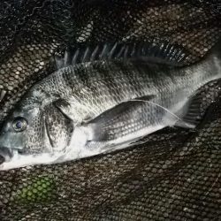 上げのシャローエリア