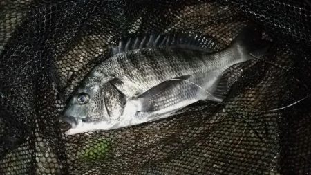 上げのシャローエリア