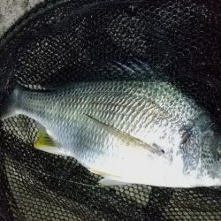 河口のやや深場