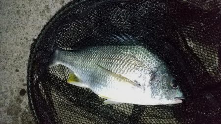 河口のやや深場