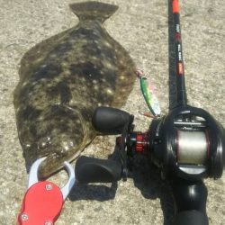 【苅田南港】春のシーバス調査 ~続き