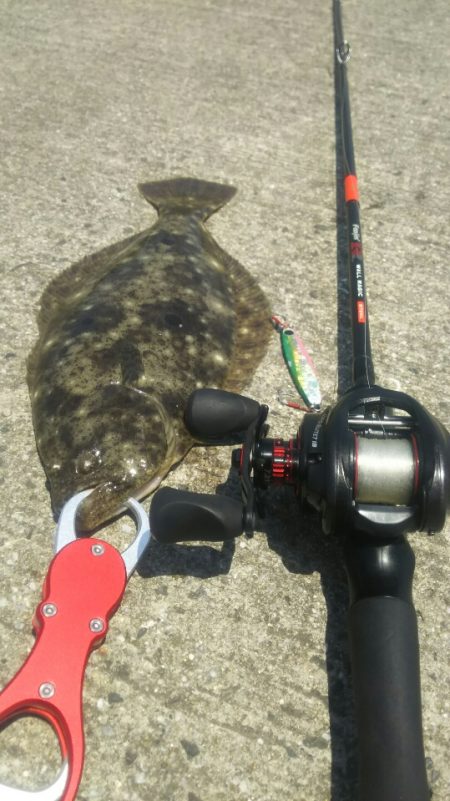 【苅田南港】春のシーバス調査 ～続き