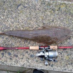 フラットとフラット